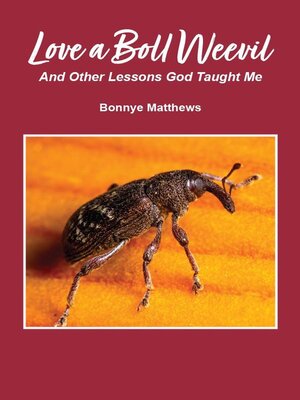 cover image of Love a Boll Weevil